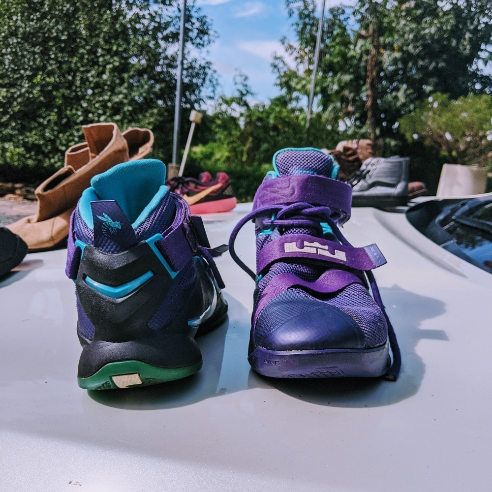 Lebrons - Picture 3 of 4